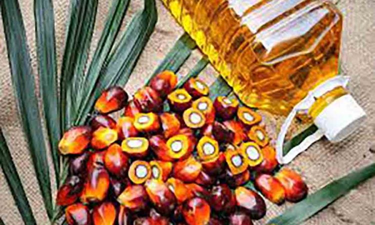 Palm Oil, Health and Nutrition - Separating Science from Perception in Sri Lanka